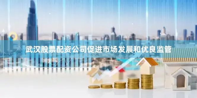 武汉股票配资公司促进市场发展和优良监管