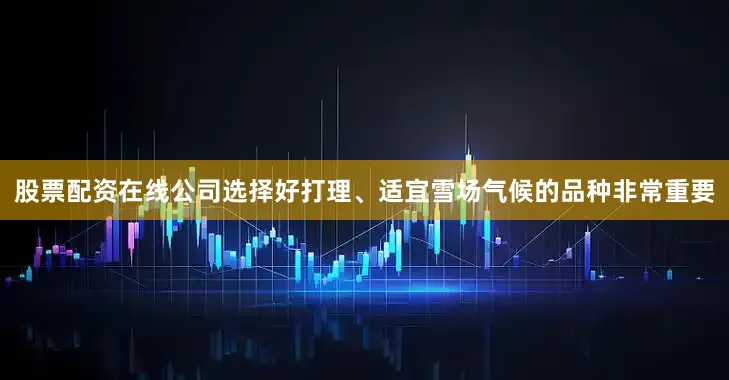 股票配资在线公司选择好打理、适宜雪场气候的品种非常重要