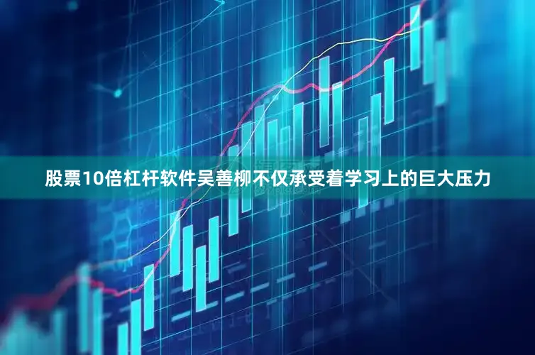 股票10倍杠杆软件吴善柳不仅承受着学习上的巨大压力