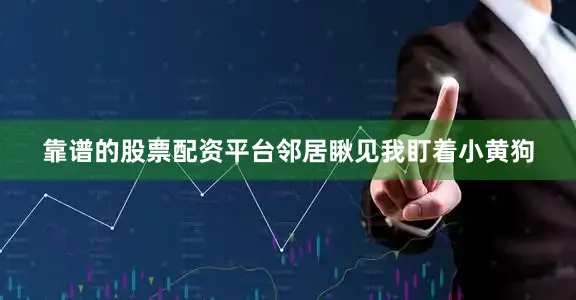 靠谱的股票配资平台邻居瞅见我盯着小黄狗