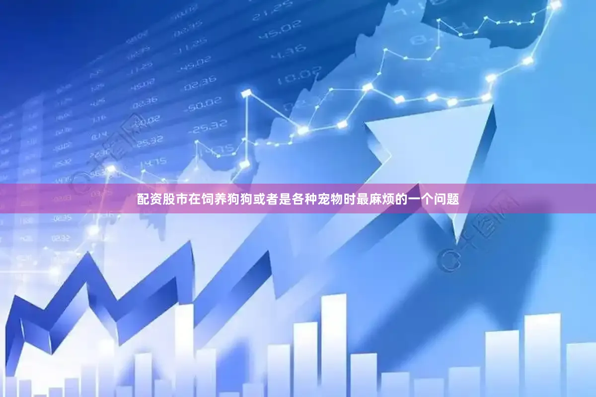 配资股市在饲养狗狗或者是各种宠物时最麻烦的一个问题