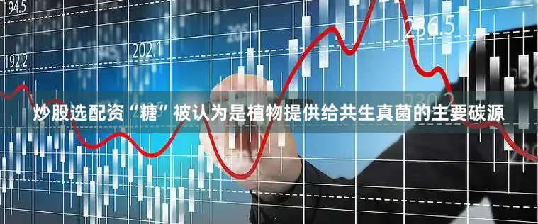 炒股选配资“糖”被认为是植物提供给共生真菌的主要碳源
