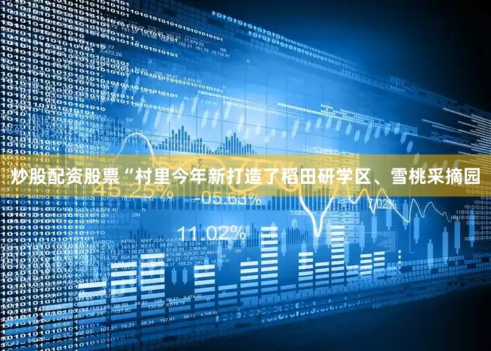 炒股配资股票“村里今年新打造了稻田研学区、雪桃采摘园
