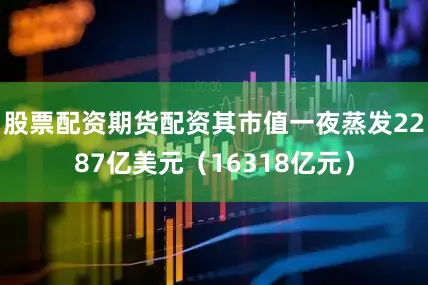 股票配资期货配资其市值一夜蒸发2287亿美元（16318亿元）
